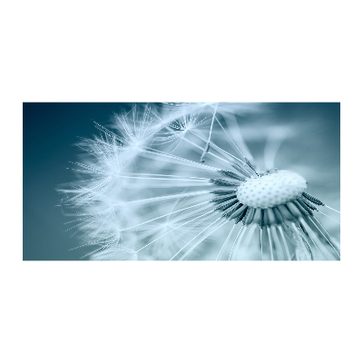 Bild auf glas Löwenzahn