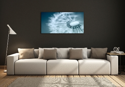 Bild auf glas Löwenzahn