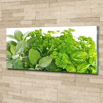 Bild auf glas Kräuter