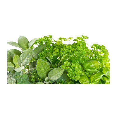 Bild auf glas Kräuter