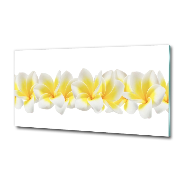 Glasbild Plumeria