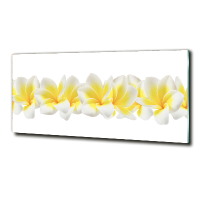 Glasbild Plumeria