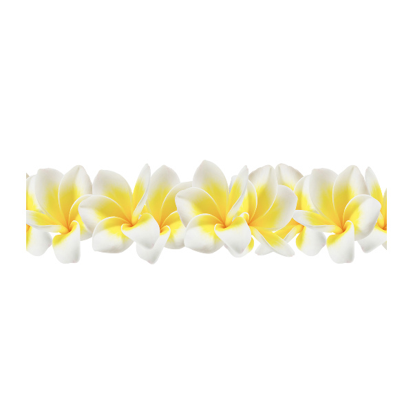 Glasbild Plumeria