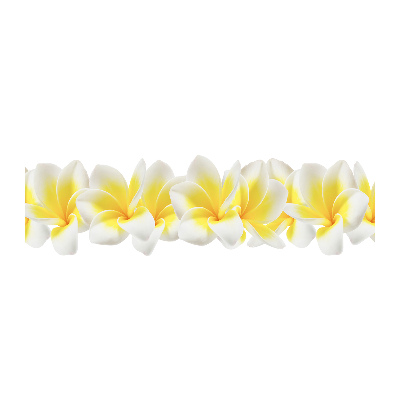 Glasbild Plumeria