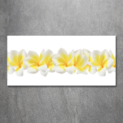 Glasbild Plumeria
