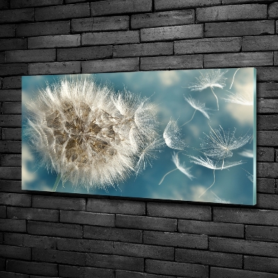 Foto glasbild Löwenzahn