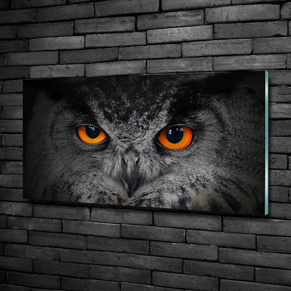 Foto glasbild Teuflische Eulenaugen