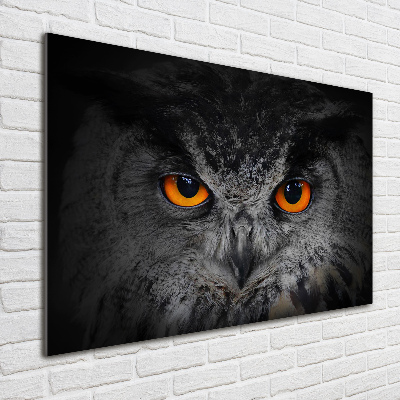 Foto glasbild Teuflische Eulenaugen