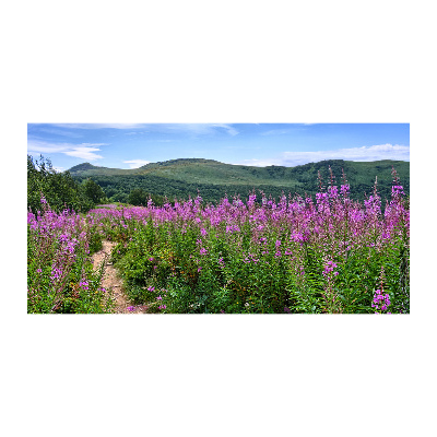 Foto glasbild Grüne Hügel