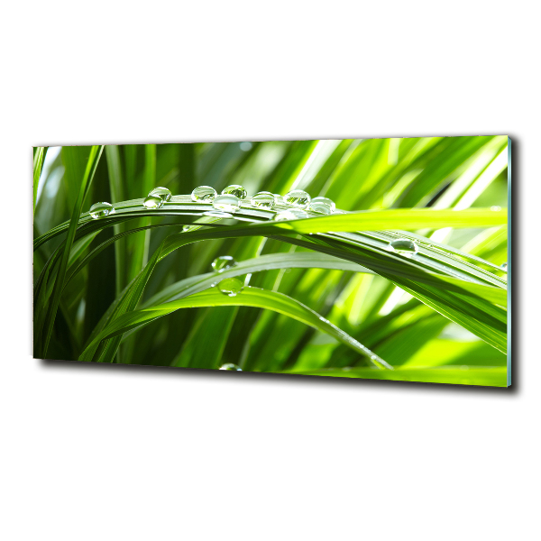 Bild auf glas Tropfen auf dem Gras