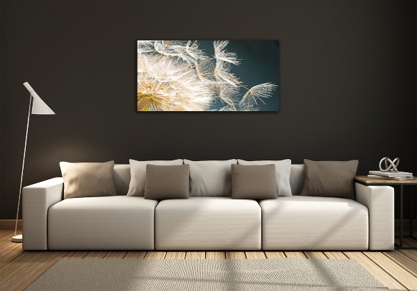 Foto glasbild Löwenzahnsamen