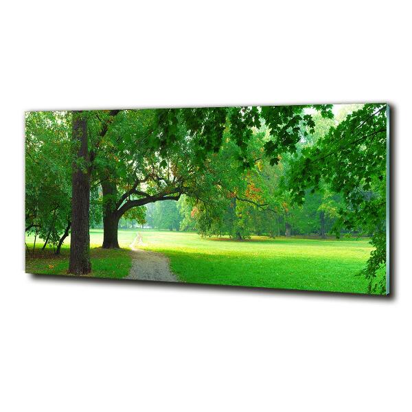 Glasbild Park im Herbst