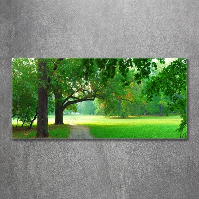 Glasbild Park im Herbst