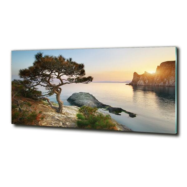 Foto glasbild Ein Baum am Meer