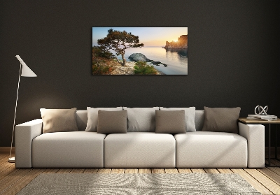 Foto glasbild Ein Baum am Meer