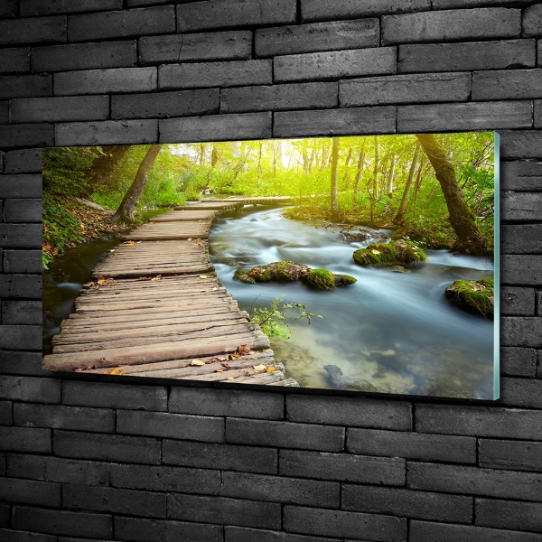 Bild auf glas Weg am Fluss