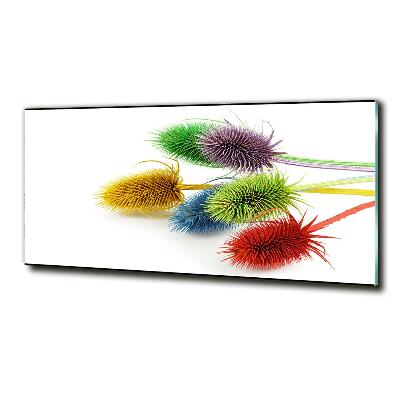 Bild auf glas Distel