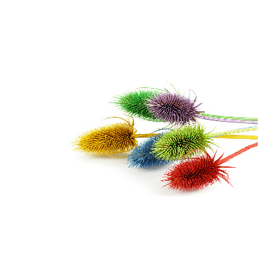 Bild auf glas Distel