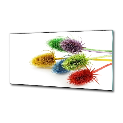 Bild auf glas Distel