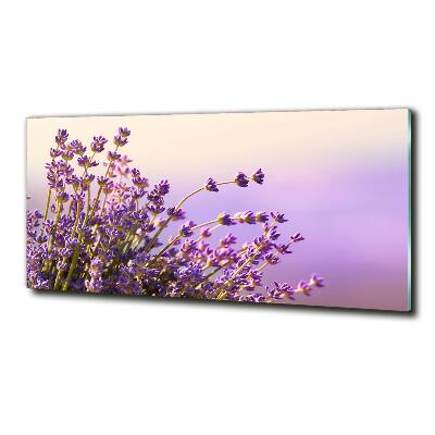 Glasbild Lavendel