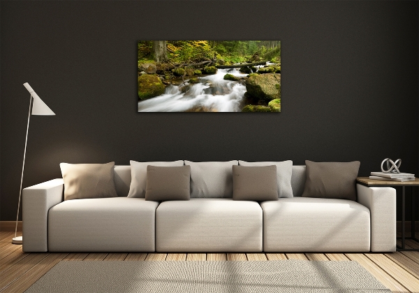 Bild auf glas Olczyski-Bach