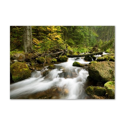 Bild auf glas Olczyski-Bach