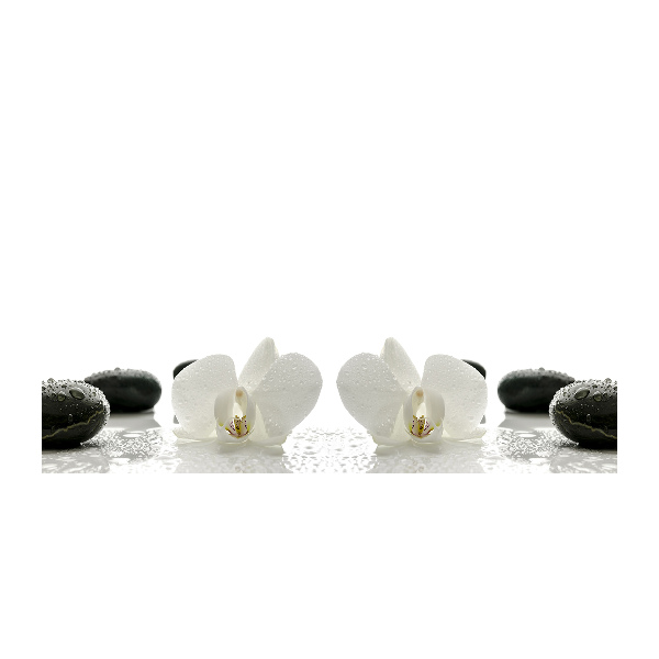 Bild auf glas Orchidee