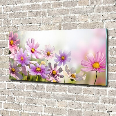 Foto glasbild Blumen auf der Wiese