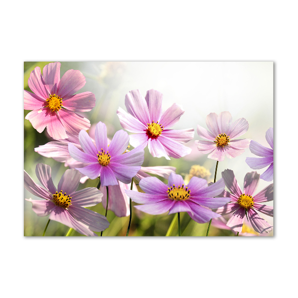 Foto glasbild Blumen auf der Wiese