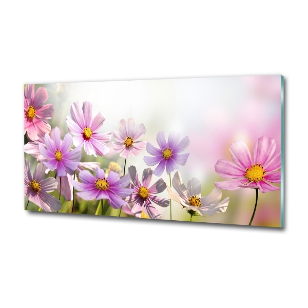 Foto glasbild Blumen auf der Wiese