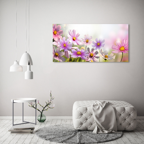 Foto glasbild Blumen auf der Wiese