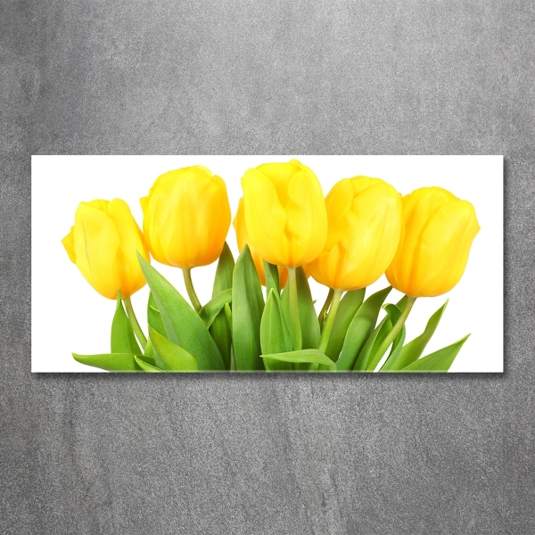 Bild auf glas Gelbe Tulpen