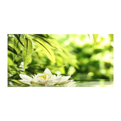 Foto glasbild Seerose