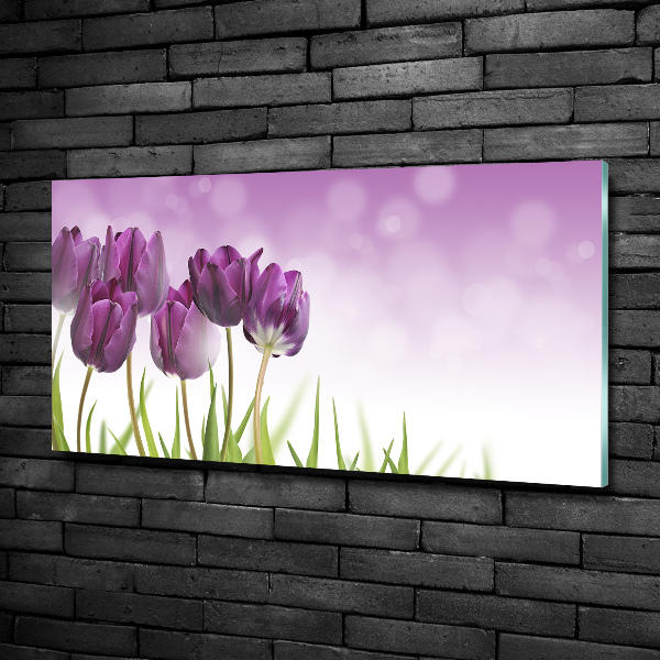 Glasbild Lila Tulpen