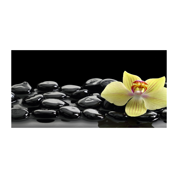 Foto glasbild Orchidee