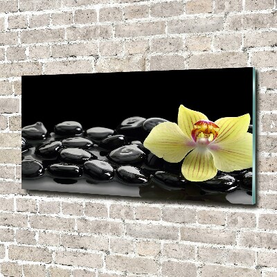 Foto glasbild Orchidee