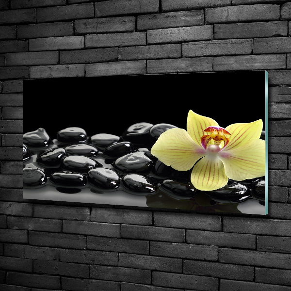 Foto glasbild Orchidee