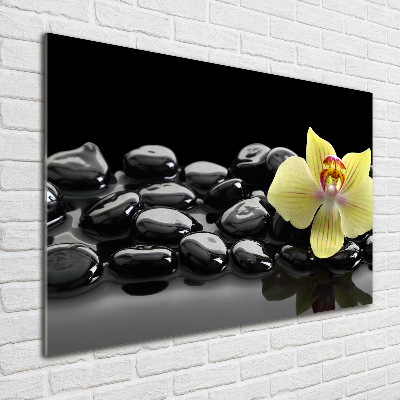 Foto glasbild Orchidee