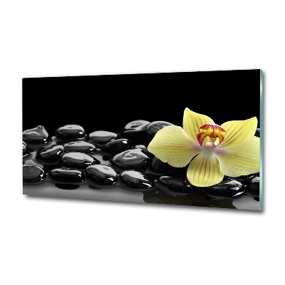 Foto glasbild Orchidee