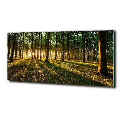 Bild auf glas Sonnenstrahlen