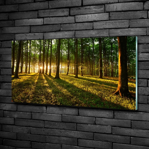 Bild auf glas Sonnenstrahlen