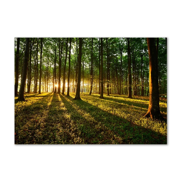 Bild auf glas Sonnenstrahlen