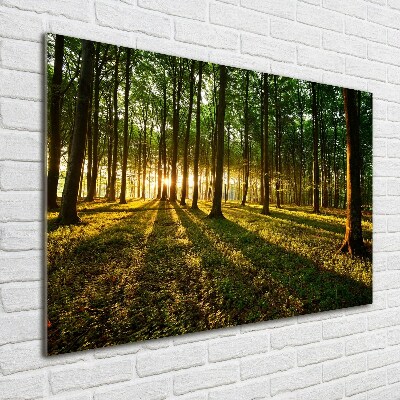 Bild auf glas Sonnenstrahlen