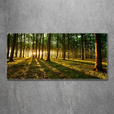 Bild auf glas Sonnenstrahlen