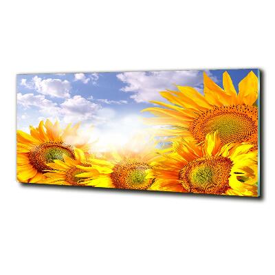 Foto glasbild Sonnenblumen