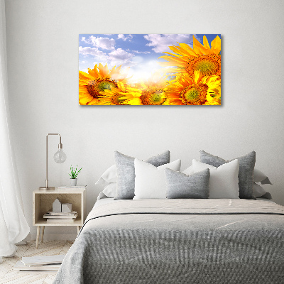 Foto glasbild Sonnenblumen