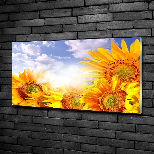 Foto glasbild Sonnenblumen