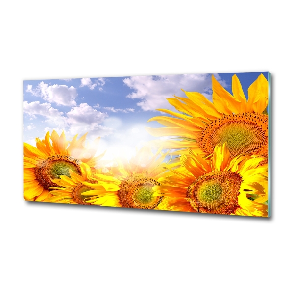Foto glasbild Sonnenblumen