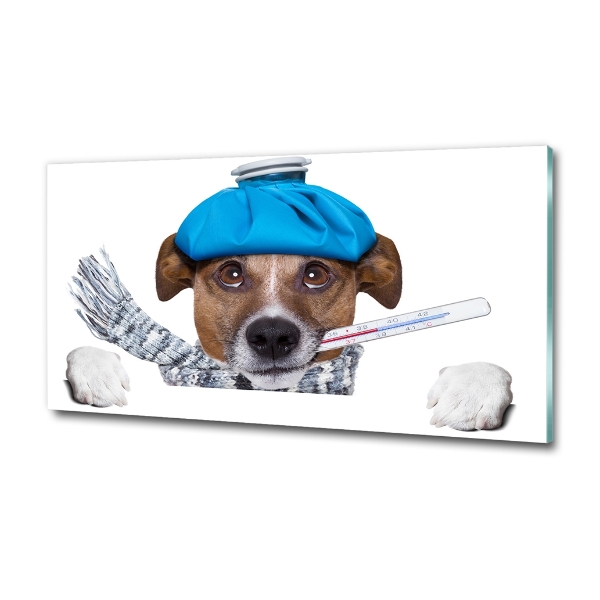 Bild auf glas Kranker Hund