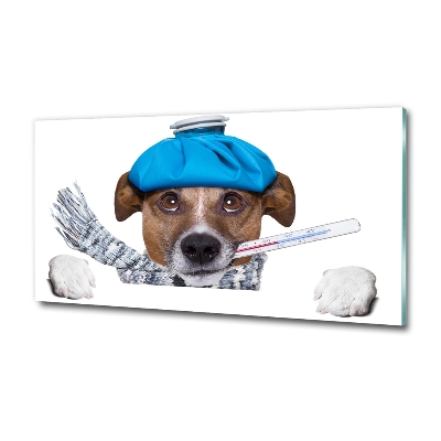 Bild auf glas Kranker Hund